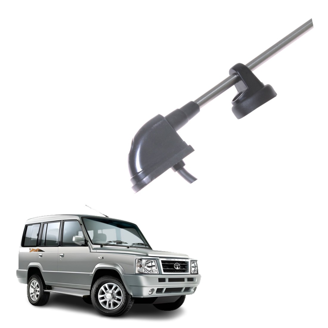 Sumo 1205